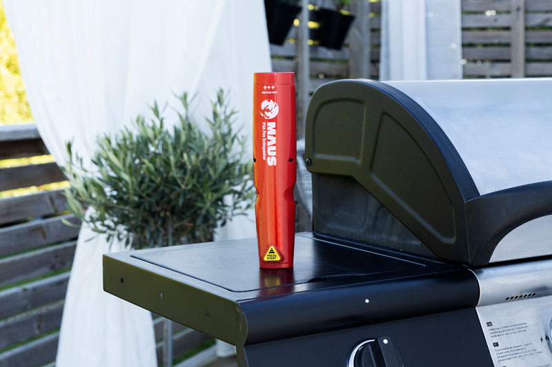 MAUS Xtin Klein at a barbecue area